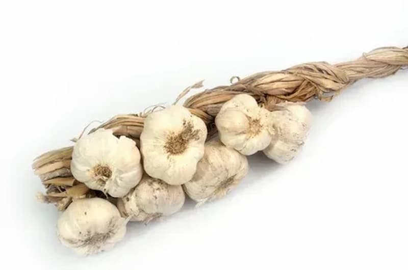 خرید موسیر کوهی